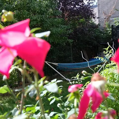 Casa Colore With Garden And Courtyard Holiday home Wiesbaden