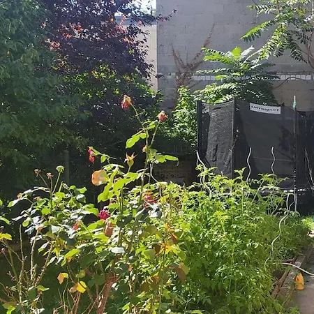 Holiday home Casa Colore With Garden And Courtyard Wiesbaden